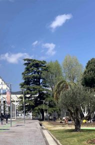 il campus di Savona